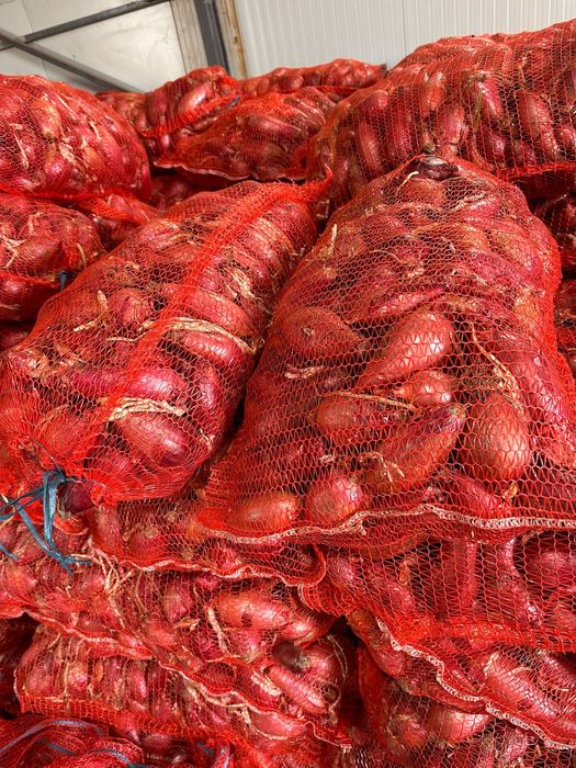 Vand ceapa rosie de buzau