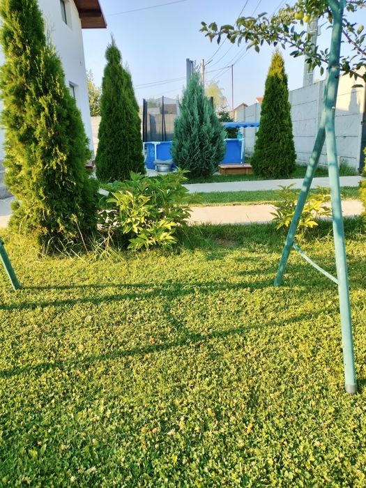 Inchiriez Curte cu Gradina spatioasa, pentru petreceri.