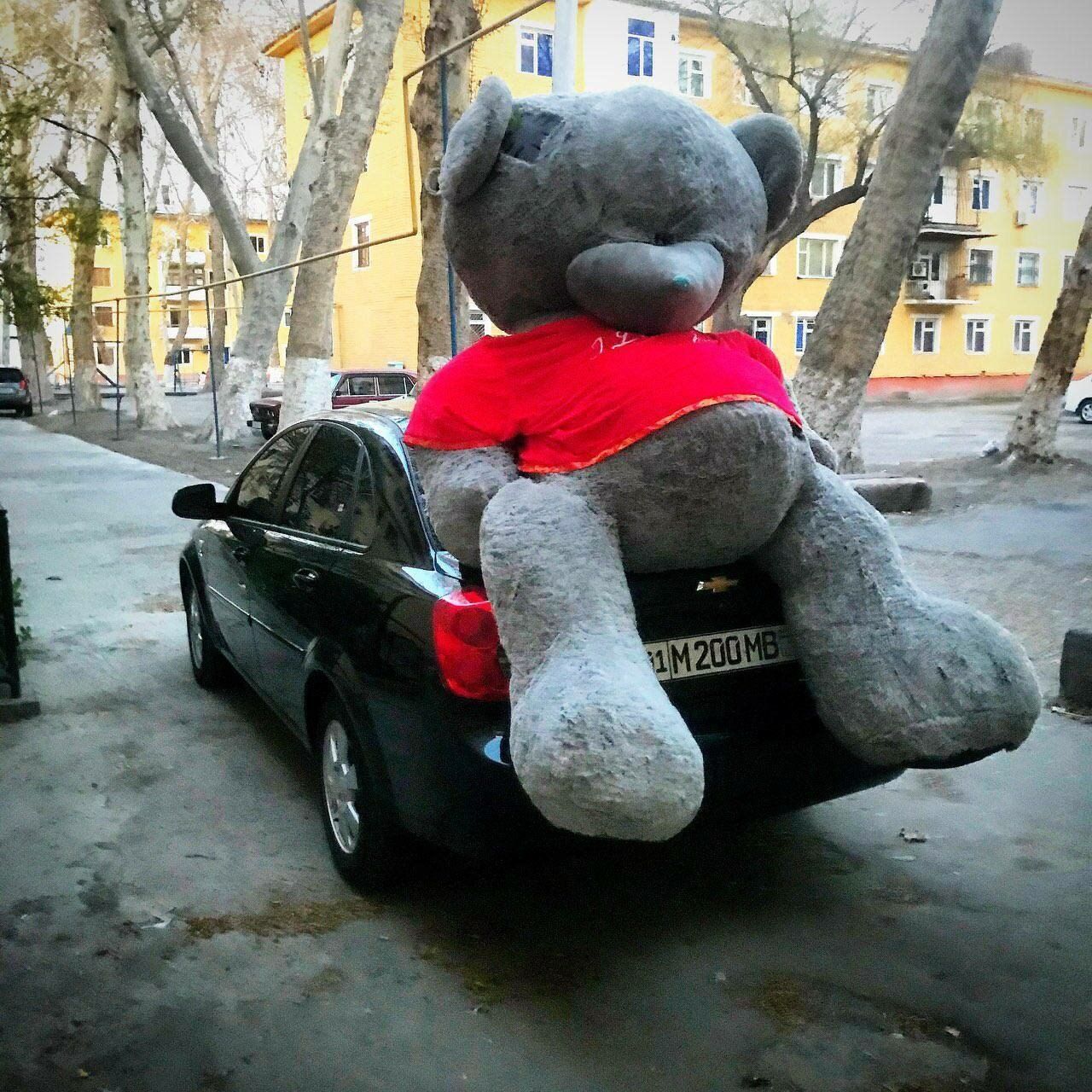 Teddy + Teddib Aksiya