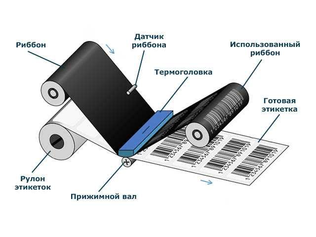 Риббон различных типов и размеров