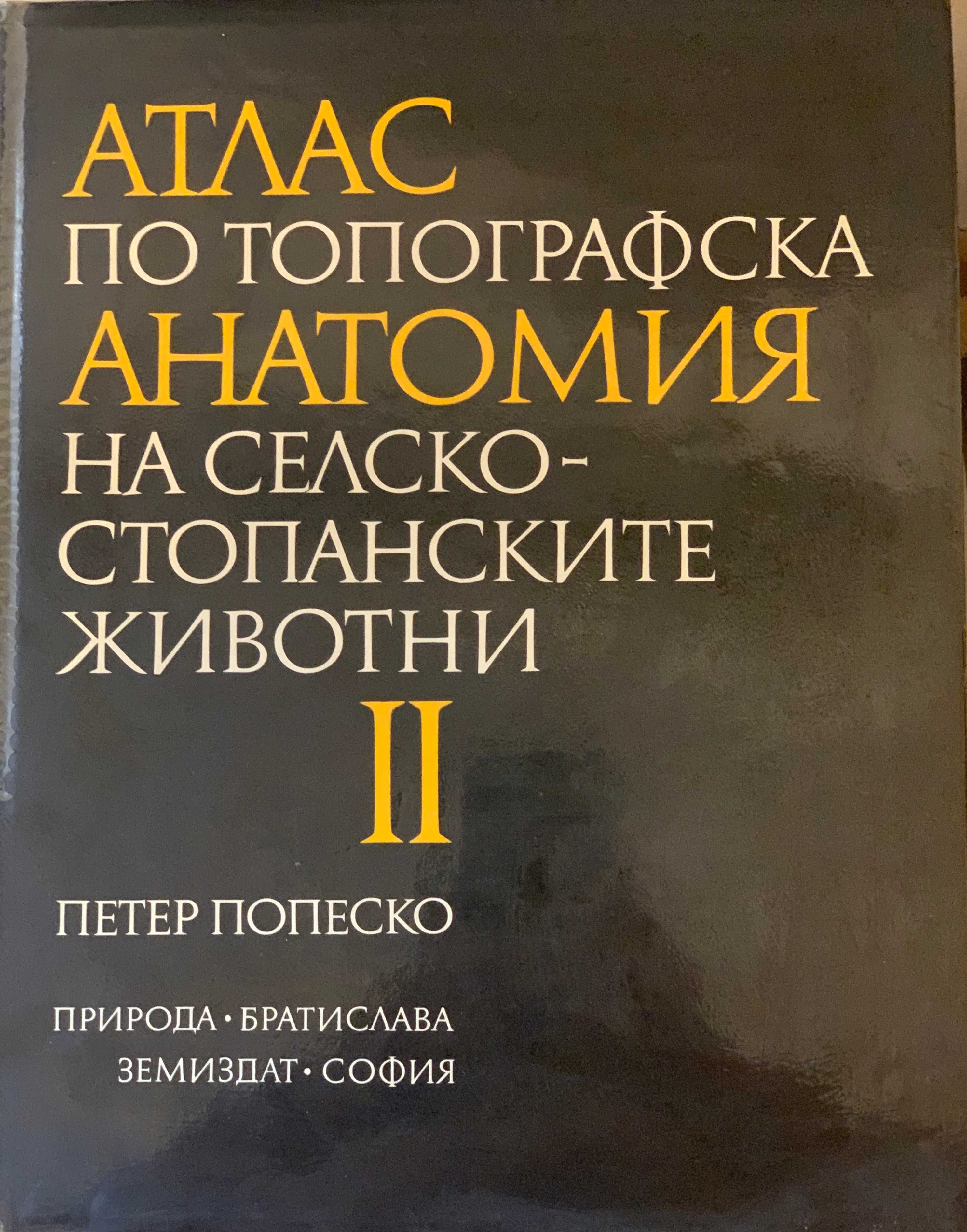 Атласи по топографска анатомия - Петер Попеско