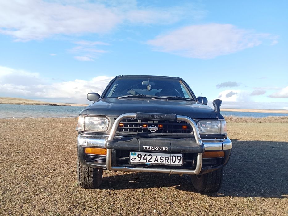 Возможен обмен на скот