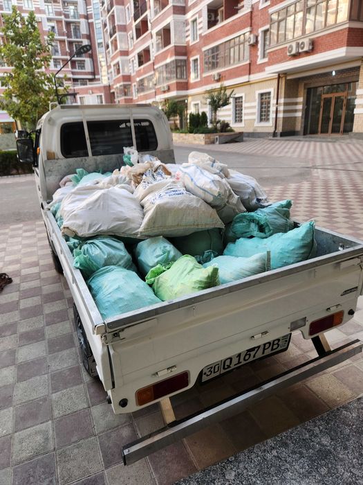 Musur tashish xizmati musir olib ketish