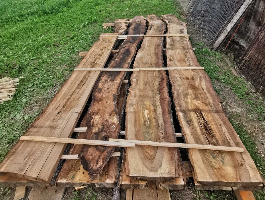 Vând scândură groasă de nuc, diferite dimensiuni