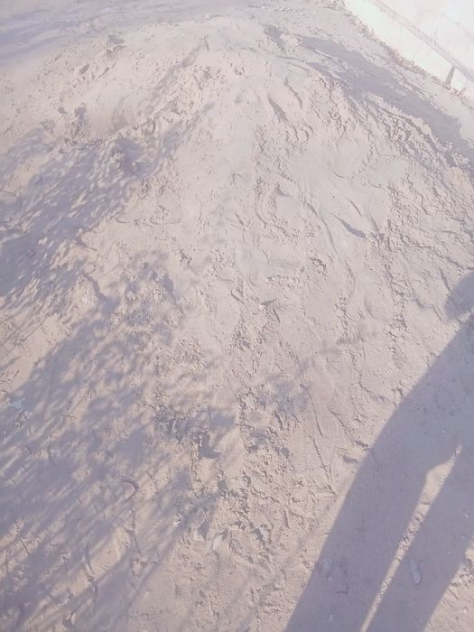 Ассолому алейкум агаиндар бесплатно