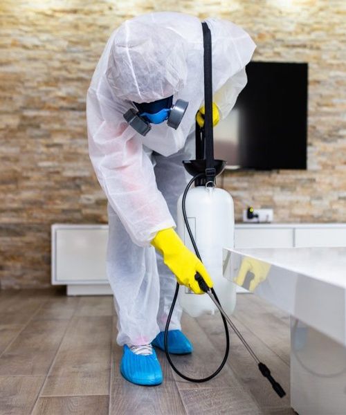 Dezinsecție Dezinfecție și Deratizare