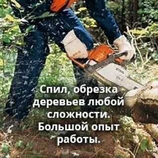 Спилим дерево, кронация, обрезка, альпинизм, любая сложность!