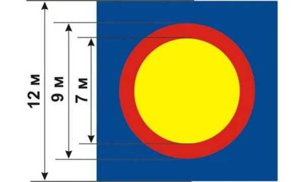 Борцовский ковер 6х6 м (с матами НПЭ 50мм)