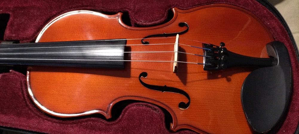 Vioara 3/4 lemn, folosita