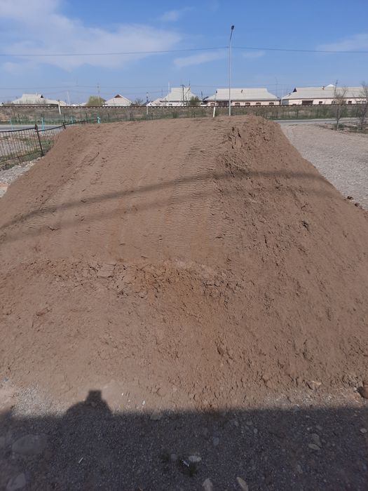 Сылакка таза Шауылдыр кумы