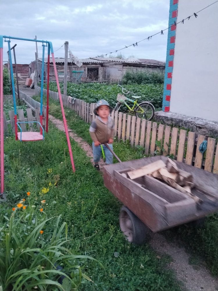 Продается дом село Жалгызкарагай