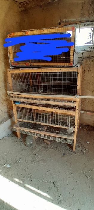 Бөденеге жәше несушаға арналғанклетка