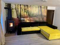 Apartament Voineasa