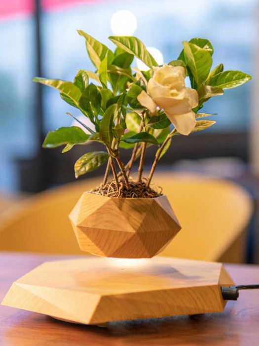 optim narxda havoda turadigan gul tuvak suinner bunaqa narx bizda