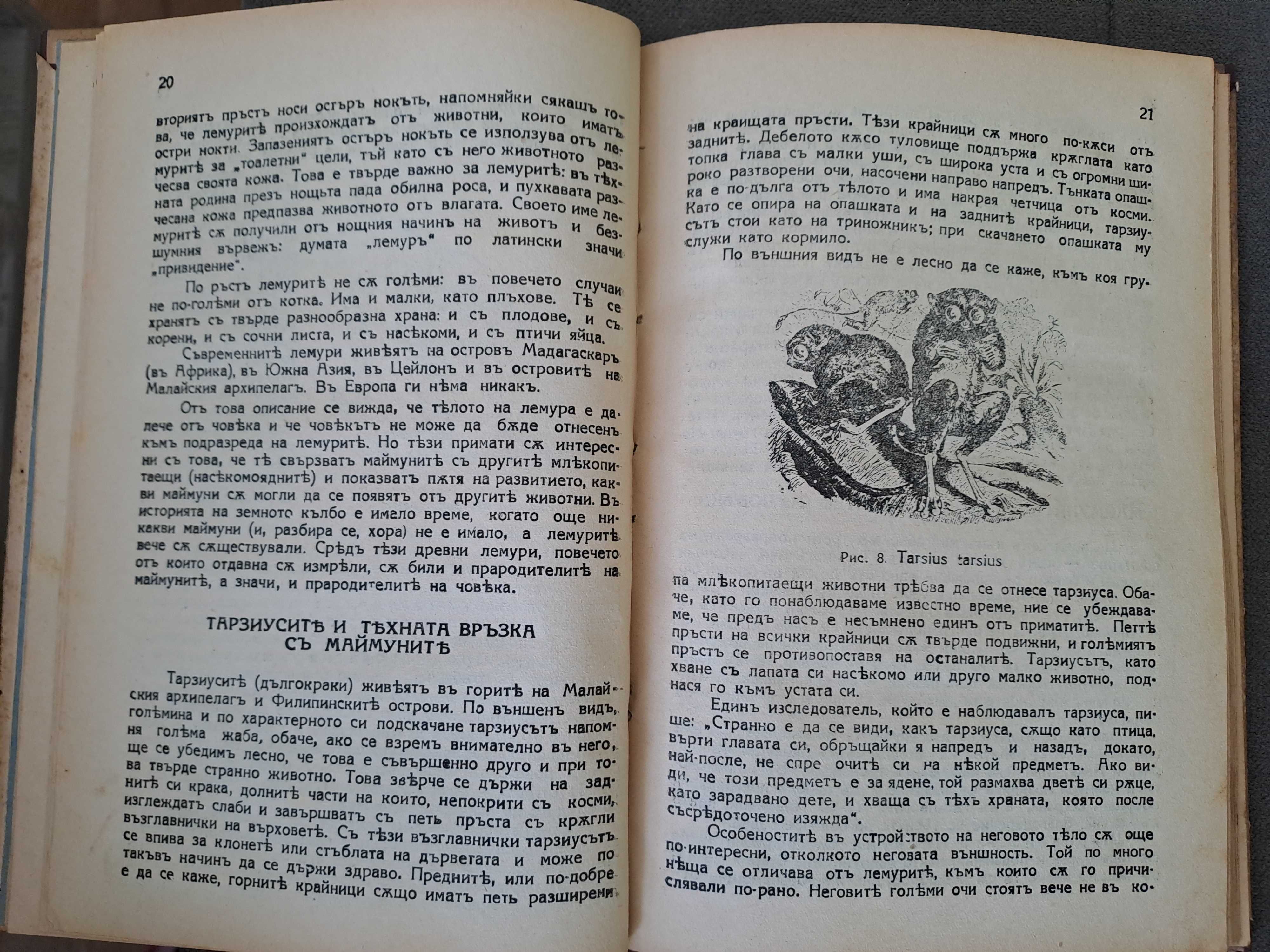 Стара книга Произходъ на човека Проф.М.А.Гремяцки