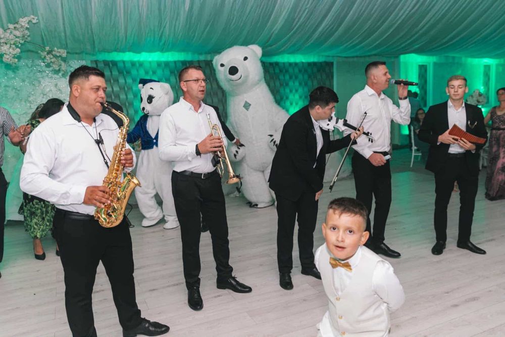 Ursuleți Dansatori Focuri