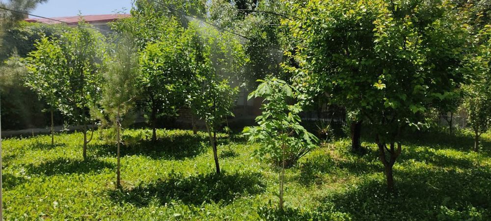 Oqtoshda basseynli dacha!  Дача с бассейном в Октоше