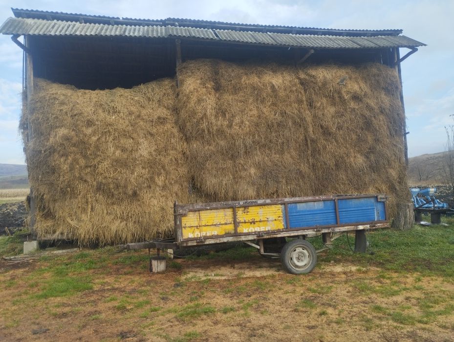 Vând lucernă cu iarbă, semnătură strânsă manual