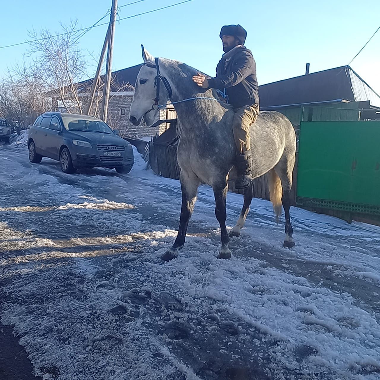 Жеребец Орловской породы кровный с документами внник