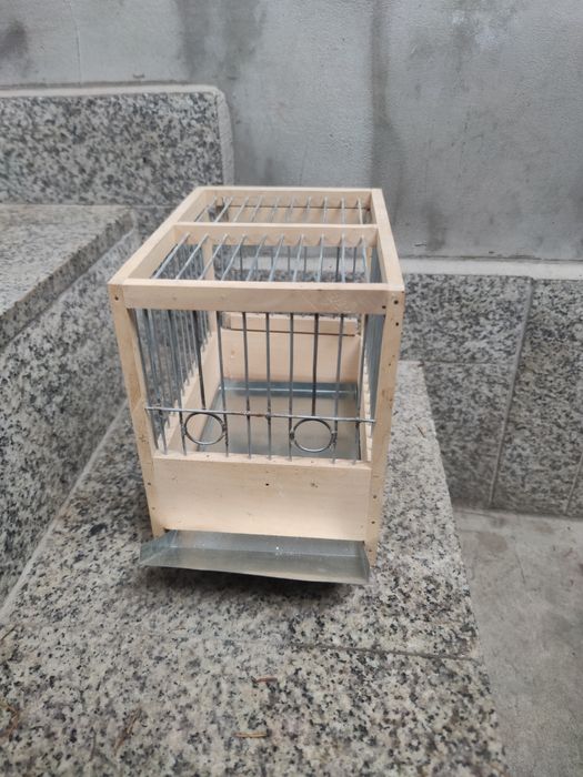 Colivie canari concurs