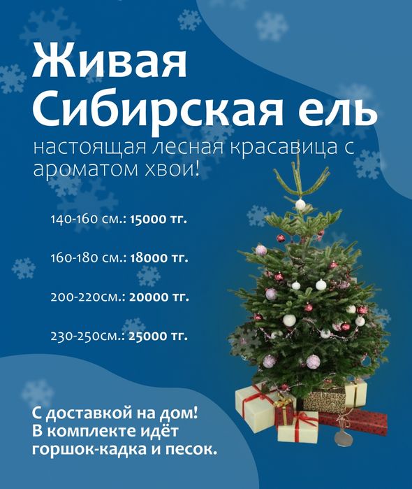 Ель новогодняя высшего сорта, с доставкой на дом.