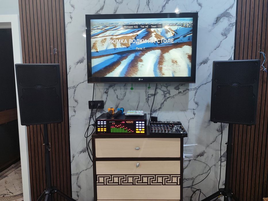 Профессиональный Караоке на выезд  с установкой ast (аст)