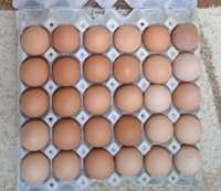 Домашни яйца М и Л размер
