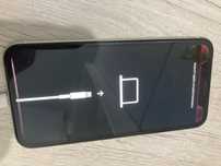 iPhone 11 Pro - pentru recarosare/piese
