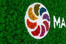 Litere din licheni decorativi - logo companii