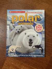 Carte Polar Animals