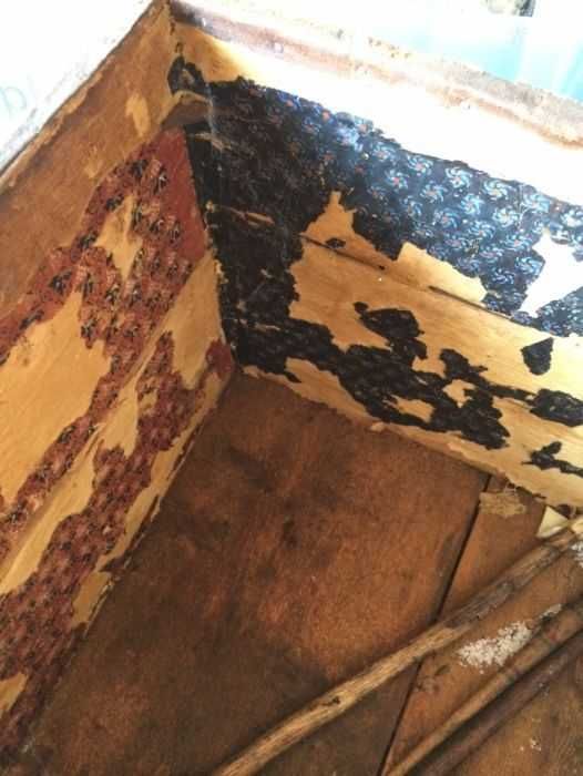 Cufar, lada interbelica, masina de scris americana