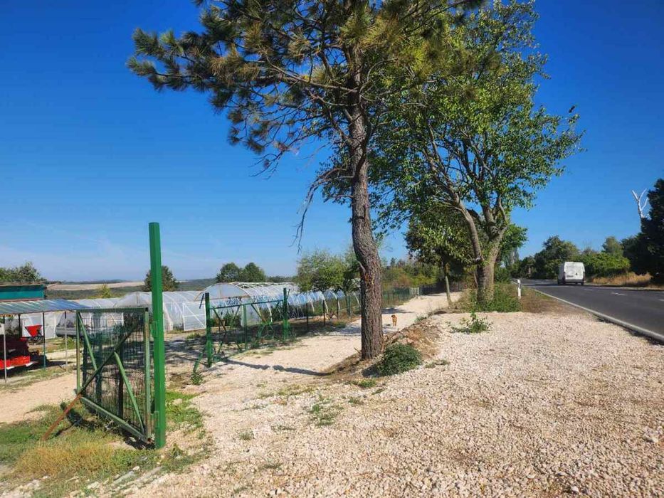 Отлична инвестиционна възможност: Разработен бизнес с оранжерии и