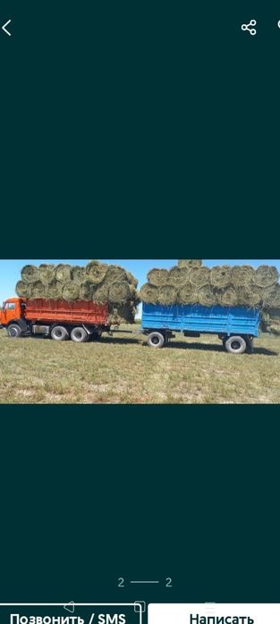 Сено люцерна жоношка урлон жоношка свежый укос жоношка с доставкой урл