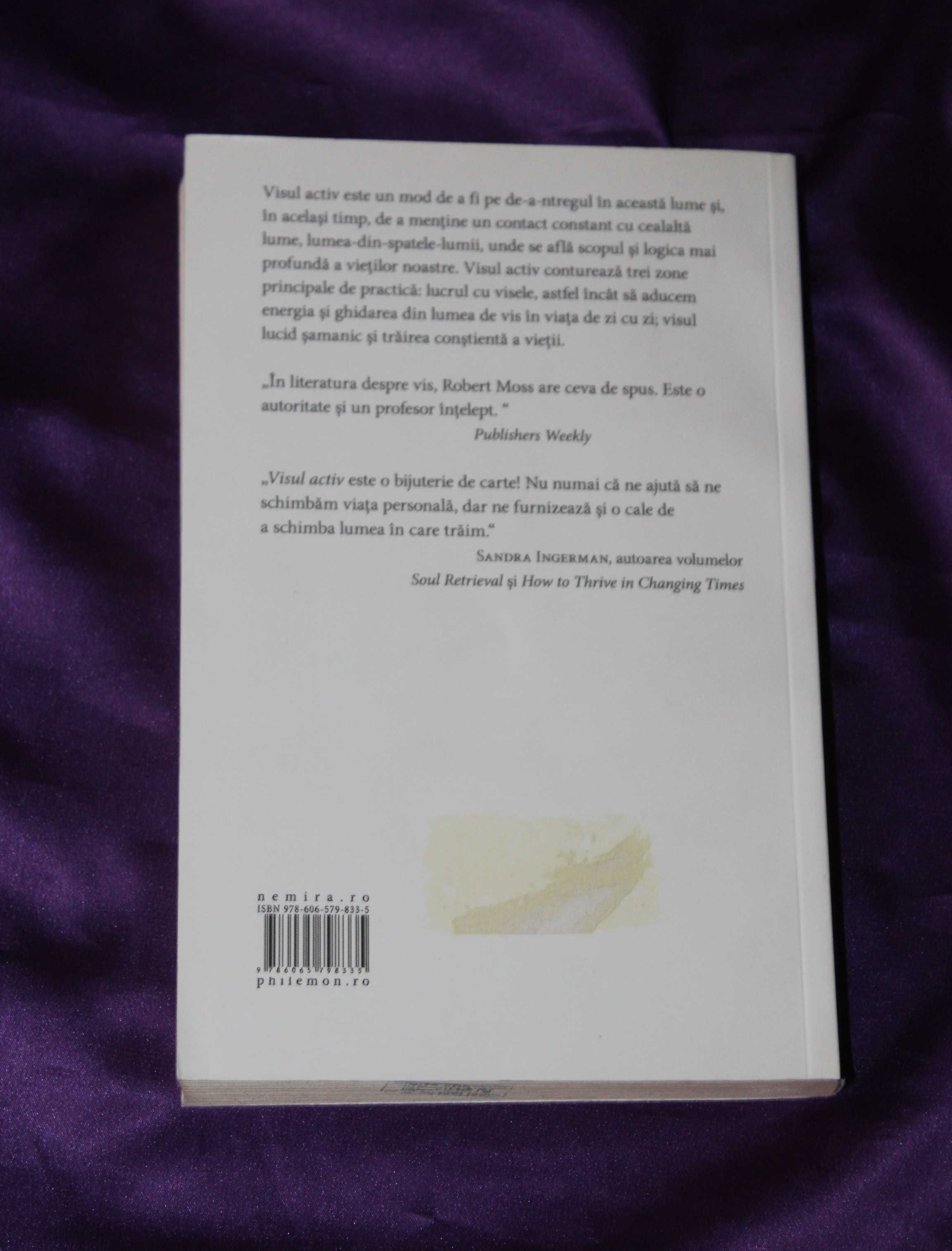 Problema Puer Aeternus  Marie-Louise von Franz Visul activ Psihologie