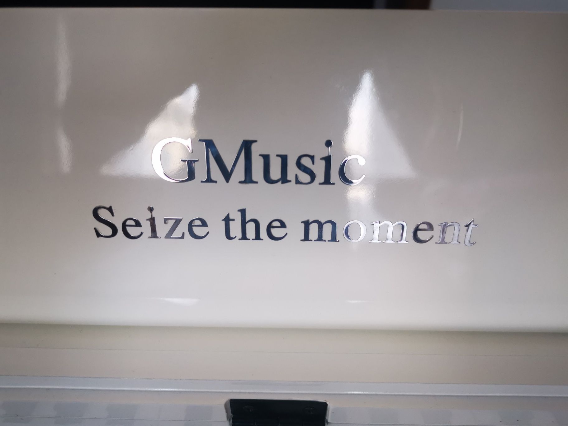 Цифровое пианино Gmusic белый