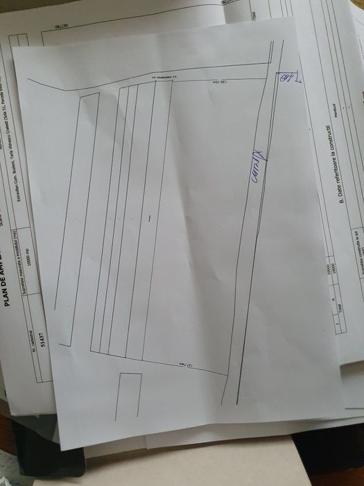 Vand pamant extravilan 1ha in Bozieni - Neamt