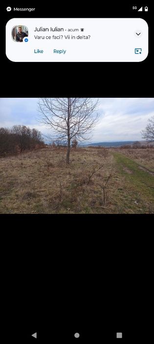De vânzare Pădure  13 000 Mp,Josani, Peștișu Mic, Hunedoara