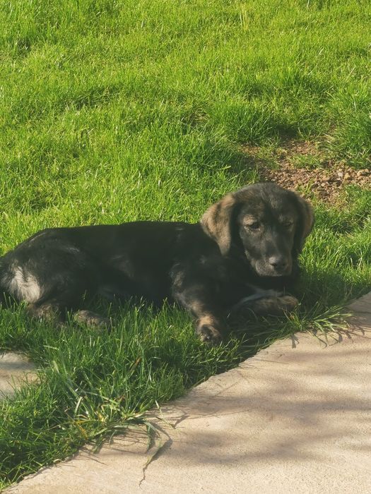 Fetita de talie mica cauta un adapost calduros