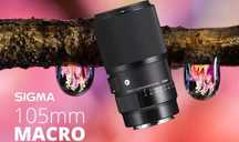 Sigma 105mm f/2.8 DG DN Macro Art Lens | Sony E
