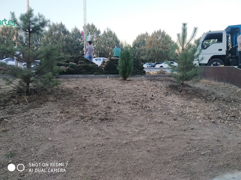 Газон экиш хизмати,