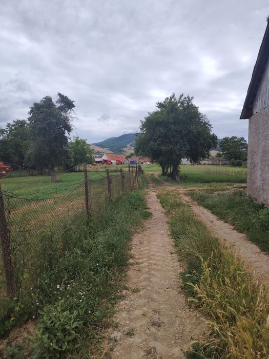 Teren intravilan de vanzare