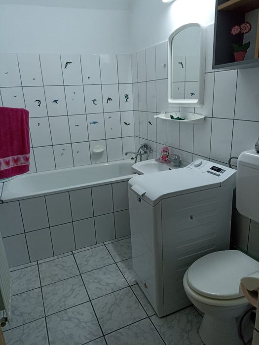 Apartament o camera de inchiriat