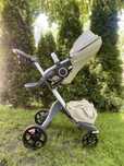 Carucior Stokke v5
