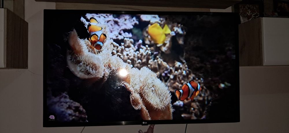 Телевизор LG 43 инча