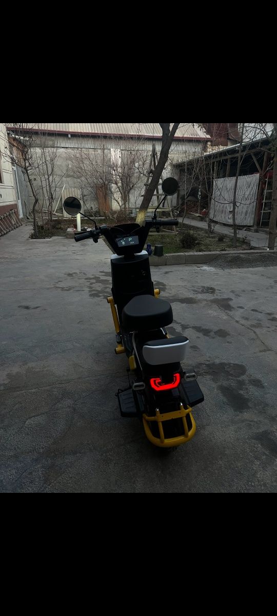 Elektor sukutur yangidek