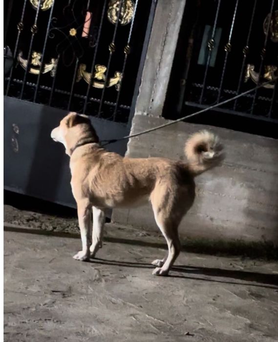 Свободна женска на 11 месеца