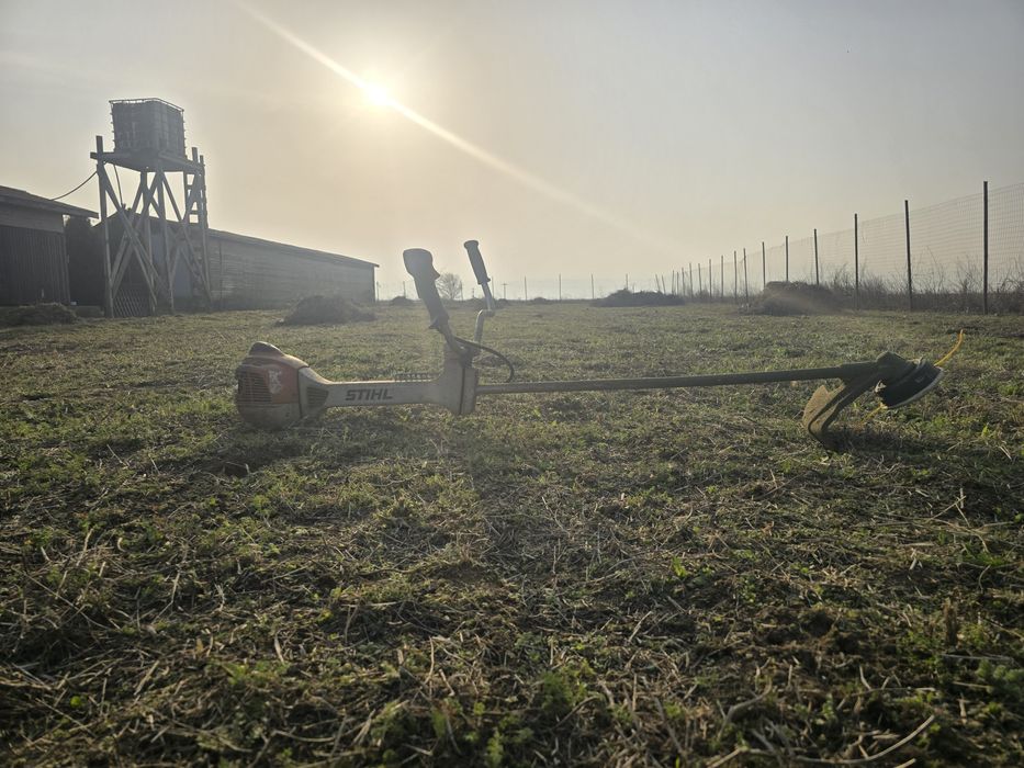 Defrișări tăieri pomii