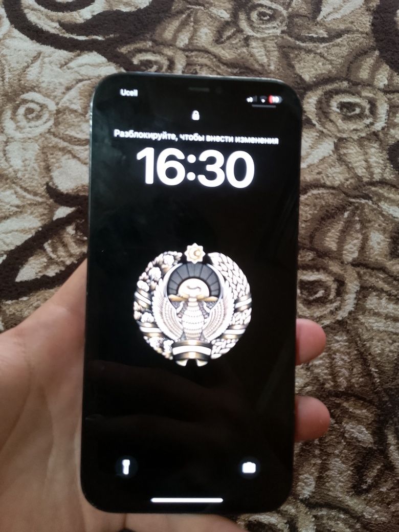 iPhone 12 pro max