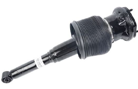 Perna + amortizor Lexus LS 430 UCF30 Spate