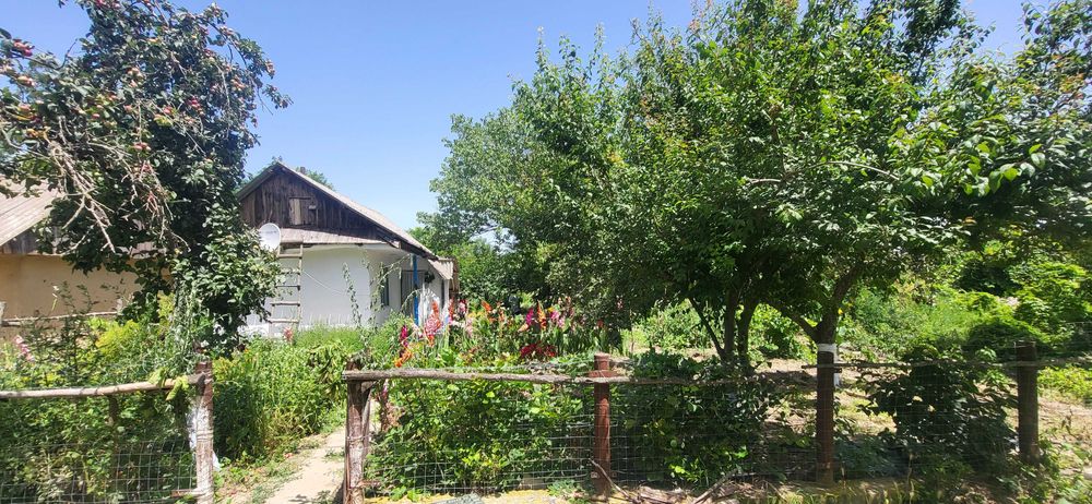 Delta Dunării, Băltenii de Jos, casă bătrânească, teren 1500mp